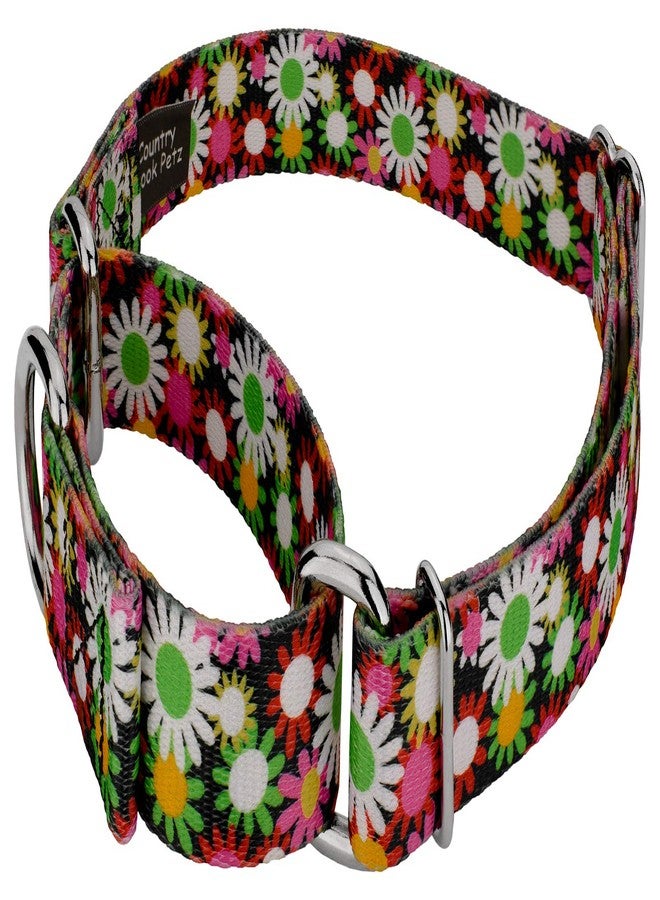 كانتري بروك ديزاين طوق ومقود للكلاب من Country Brook Petz - Daisy Fields Martingale - مجموعة زهور تتميز بتصاميم ساحرة (1 بوصة، متوسط) - Image 5